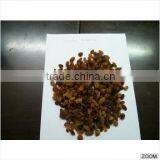 Raisins (Malayer) thumbnail-3