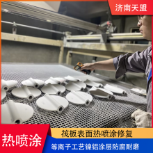 Surface Repair of Raft by Plasma Spraying With Nickel Aluminum Coating, Anti-corrosion and Wear-resistant Coating, Thermal Spraying Processing thumbnail-5