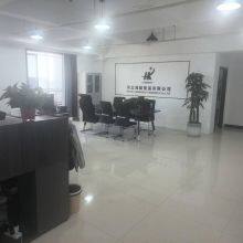 Hebei Hongkuo Trading Co., Ltd. company overview - view 5 thumbnail