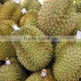 Fresh Durian from Thailand