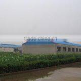 Wenzhou Shining Wood Co., Ltd. company overview - view 1 thumbnail