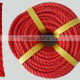Three or Four Strand Twisted pe Rope thumbnail-2