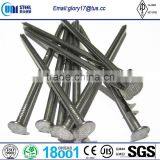 Bright Common Nails thumbnail-3