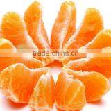 Citrus Fruit Bulk Oranges Safety Net thumbnail-4