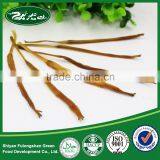 Wholesale Premium Dried Daylily Flower Organic Vegetable thumbnail-6