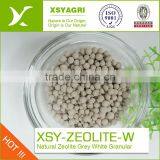 Nature Clinoptilolite Zeolite Granular for Oil Refine thumbnail-4
