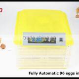 HHD Multipurpose Wildly Used in Quail Duck Goos 12V 110V 220V Incubator for Quail Eggs