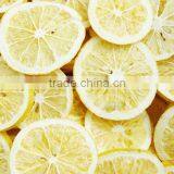 Vacuum Freeze Dryer for Fruit and Vegetable Manufacturer JK-FD-1N thumbnail-6