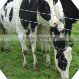 High Quality Galvanized Field Fence for Sale / Sheep Fence / Galvanized Fiedl Fence for Sale thumbnail-5