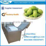 Olive Core Extracting/Remover/ Seed Extracting Machine/ Separator/ Separating Machine(SMS: 0086-15903675071) thumbnail-1