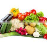 OULENO Multi Function Vegetable Cleaning Machine Eddy Current Bubble Cleaning Machine Continuous Vegetable Washing Machine Sausa thumbnail-2