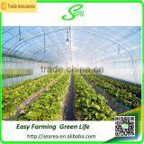 Steel Frame Tunnel Greenhouse With Door thumbnail-4