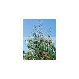 Spiral Rod thumbnail-1