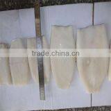 Frozen Best Squid Tubes(tip-off) thumbnail-1