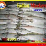 W/R FROZEN INDIAN MACKEREL thumbnail-1