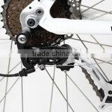 Hot Selling Cheap Electric Bike Mini Folding Electric Bike With Hiddden Battery thumbnail-6