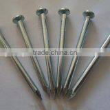 Galvanized Concrete Nails With Factory Price thumbnail-4