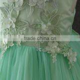 High Quality OEM Angel Green Short Sleeves Embroidery Flower Girls Party Dresses Lovely Fluffy Tulle Kids Frock Designs Pictures thumbnail-4