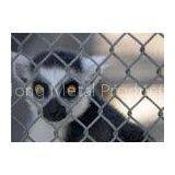Feral Animal Security Protection Chain Link Fencing With Electro Galvanized Wire
