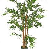 New Product Artificial Bonsai Bamboo Tree With Natural Colour thumbnail-2