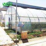Customized High Quality&Commercial Hoop Greenhouse With Low Price thumbnail-1