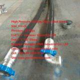 Kelly Hoses 3 thumbnail-4