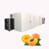 сушилка для мяса и фруктов