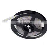 Dual Color White Adjustable 3527+5050 Double Color Led Strip Light thumbnail-4