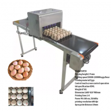 Automatic Egg Printer Machine Egg Coding Machine Egg Printing Machine thumbnail-3