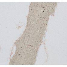 Code：7240，Calacatta Artificial Stone Quartz Slab Kitchen Countertops thumbnail-2