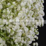 Bottom price hot selling decorative gypsophila flower foe wedding