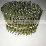 Top Selling Coil Nails in China