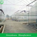 Dome Type 10mm Polycarbonate Greenhouse