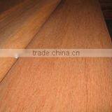 0.3mm Gurjan Veneer for India Market thumbnail-1