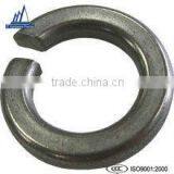 External Tooth Lock Washer