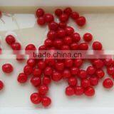 Canned Cherry in Syrup thumbnail-3