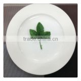 white bone china ceramic plates