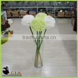 Hot Sale Real Touch Halloween and Christmas Decoration Artificial Flower Making
