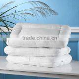 Buckwheat Seed Pillow