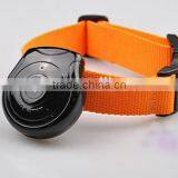 New Popular Mini LCD Pet Camera ,dog Collar Camera 2015 New Quality Choice thumbnail-1