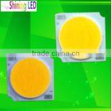 Hi Quality 1919 10W COB LED Chip