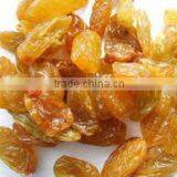 Red Raisins thumbnail-1
