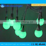 2016 Christmas RGB DMX LED Feston Bulb Light Wholesale