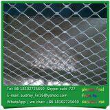 Anodised Champagne Color 60 x 60 Diamond Hole Aluminium Window Security Fence for Sale