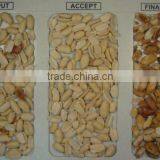 5000+pixel With Patented Ejector Groundnut Color Sorter With Hign Speed DSP Technology ,groundnut Grading Machine thumbnail-4