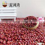 Vigna Bean Adzuki Bean 2016 Crop Small Red Bean thumbnail-5