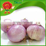 2015 Crop Fresh Red Onion in Mesh Bag Onions in Bulk thumbnail-2