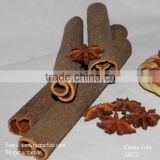 Discount natural cassia cinnamon for flavoring