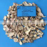 Dried Sliced Ginger - Vietnam Best Selling Product thumbnail-1