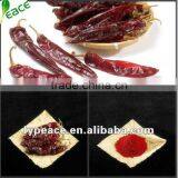 GOOD PRICE Spray Dried Spice Powder for 2013 thumbnail-1